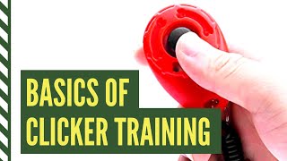 Clicker Training Basics How to Introduce the Clicker for Dogs [upl. by Arodaeht806]