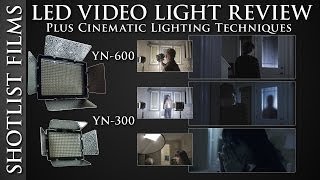 YN600 LED Video Lighting Review  Plus Lighting Techniques [upl. by Dirgni]