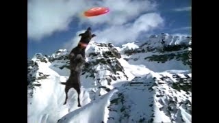 1996 Coors Light Beer Commercial  Giant Dog Playing Frisbee [upl. by Evaleen]