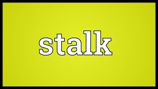 Stalk Meaning [upl. by Yht]