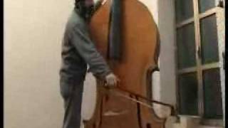 octobass Dattis [upl. by Tarabar]