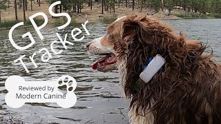 Tractive GPS Tracker for Dogs [upl. by Budge274]