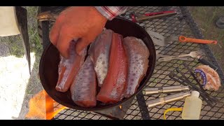 Family Camping Trout Fishing amp Tacos Pack Goat Training Ti Firebox 5quot Stove Testing [upl. by Birk924]