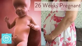 26 Weeks Pregnant What You Need To Know  Channel Mum [upl. by Milissent]