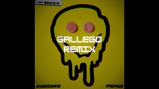 Farruko  Pepas GALLEGO Remix [upl. by Maddy]