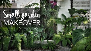 Small tropical garden 20sqft makeover with 10 Pro Gardening Tips [upl. by Noissap]