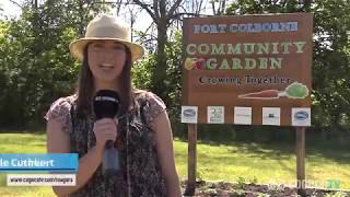 Port Colborne Community Garden [upl. by Ynehteb]