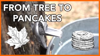 Making Maple Syrup at Home Start to Finish [upl. by Wolfson]