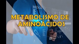 METABOLISMO DE AMINOÁCIDOS [upl. by Cita47]