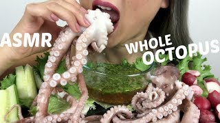 WHOLE OCTOPUS  ASMR NO TALKING EXTREME SAVAGE Eating Sounds  NE Lets Eat [upl. by Tadeas]