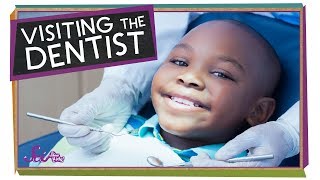 Visiting the Dentist  Health for Kids  SciShow Kids [upl. by Stephen]