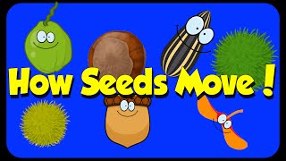 Seed Song  How Seeds Move  Seed Dispersal [upl. by Garrison]