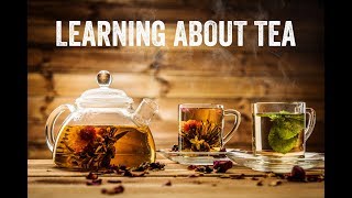 Understanding Tea with Don Mei [upl. by Annaiel761]