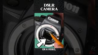 DSLR vs Mirrorless Camera [upl. by Valsimot]