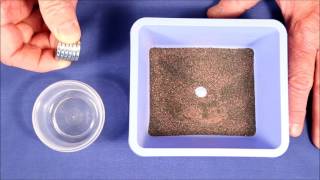 Magnetic Removal of Garnet Sand from Gold Paydirt [upl. by Llewon]