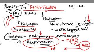 Increase Gut Bacteria Diversity Heres How [upl. by Adnomar]