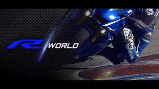 2017 Yamaha R6 [upl. by Barnett]