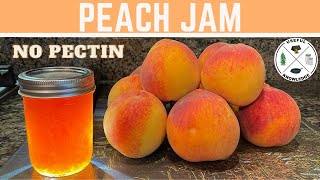 Peach Jam without Pectin  Useful Knowledge [upl. by Drarrej937]