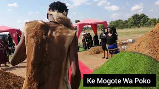 Mogote  Funeral Performance Highlights 2 [upl. by Ahsimat]