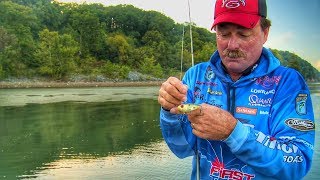 How to Work Lipless Crankbaits to Trigger Bass Anytime [upl. by Luciano]