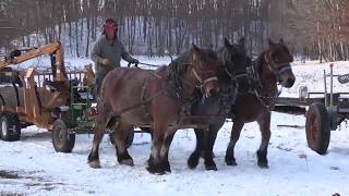 Draft Horse Logging  Managing Woods in Wisconsin Legacy Logging [upl. by Akenna]