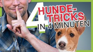 4 HUNDETRICKS in 4 MINUTEN [upl. by Talich366]