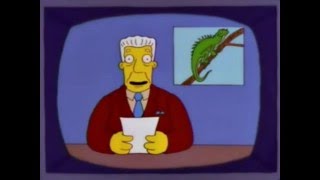 The simpsons and invasive species [upl. by Jallier941]