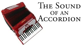 Sound of an ACCORDION [upl. by Estis]