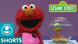 Sesame Street Play Ball  Elmos World [upl. by Chrystal]