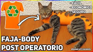 FAJABODY POST OPERATORIO PARA GATAS ESTERILIZADAS FÁCILECONÓMICO  SiamCatChannel [upl. by Ylrahc]