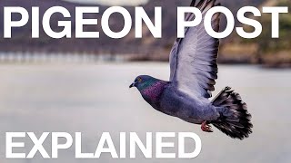 Pigeon Post  Explained [upl. by Addy]