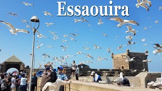 Morocco  Essaouira [upl. by Liu]