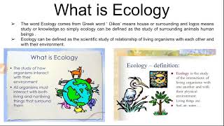 What is ecology and ecosystem classification of ecosystem [upl. by Cailean629]