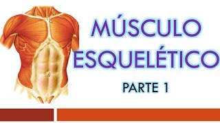 TEJIDO MUSCULAR Generalidades y Músculo Esquelético [upl. by Ocirne]