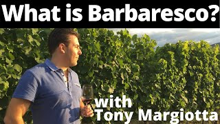 What Is Barbaresco Wine [upl. by Ardnasirk]