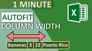 Excel Column Autofit Width 2020  1 MINUTE [upl. by Sotnas]