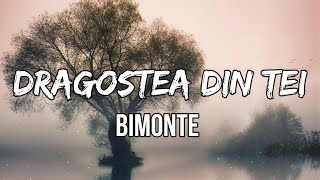 Bimonte  Dragostea Din Tei Lyrics [upl. by Alejandra]