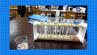 A level Biology ENZYMES REQUIRED PRACTICAL [upl. by Eylatan]