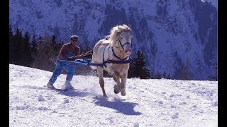 Skijoring  The Incredible Horse Skiing Sport [upl. by Arleyne]