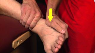 Sub Talar Joint Ankle Medial Glide [upl. by Briggs]