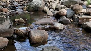 5min Relaxing Water Flowing Sound  River Nature Sounds Short Meditation WO Music  Running Stream [upl. by Hgielram]