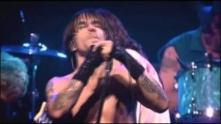 Red Hot Chili Peppers  Californication  Live at Olympia Paris [upl. by Reffotsirhc]