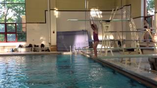 Teach a Flip for Springboard Diving [upl. by Ecirtak]