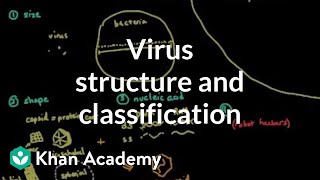 Virus structure and classification  Cells  MCAT  Khan Academy [upl. by Yrevi593]