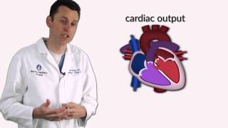 Ventricular Septal Defects by D Bailly  OPENPediatrics [upl. by Levinson]