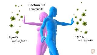 Le système immunitaire [upl. by Aubigny]