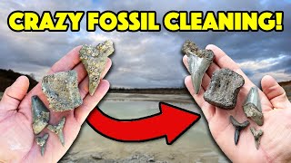 How to Clean Your Fossils Satisfying Time Lapse [upl. by Saltsman]