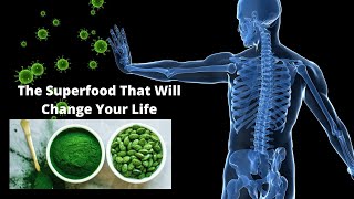 The Amazing Health Benefits Of Spirulina And Chlorella [upl. by Airetak]