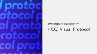 Immunocytochemistry ICC Visual Protocol [upl. by Harmony]