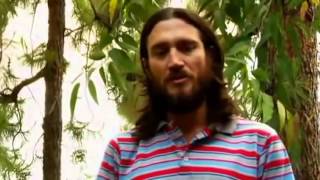 John Frusciante Interview on Creativity amp Inspiration [upl. by Kori]